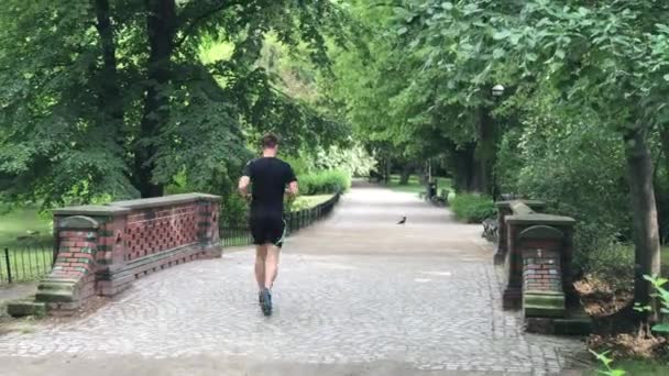 Tempo de recreação no parque público na Polônia, na cidade de Wroclaw — Vídeo de Stock