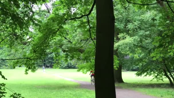 Tiempo libre en el parque público en Polonia en la ciudad de Wroclaw — Vídeo de stock