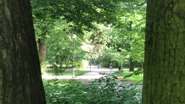 Temps de loisirs dans le parc public en Pologne dans la ville de Wroclaw — Video