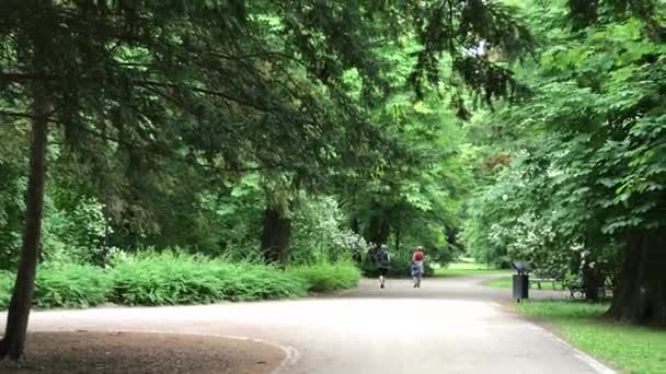 폴란드 브로츠와프의 도시에서의 공공 공원에서 레크레이션 시간 — 비디오