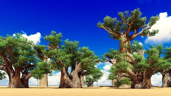 Superbes baobabs en rendu 3d savane africaine — Photo