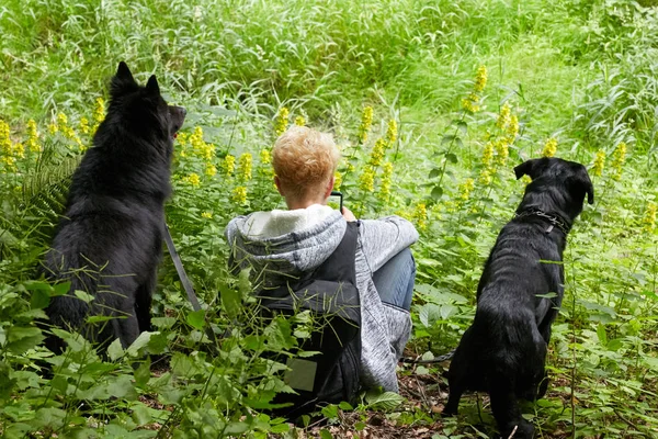 Joven mujer mensajes de texto en el teléfono con dos perros negros sentados en la hierba — Foto de Stock