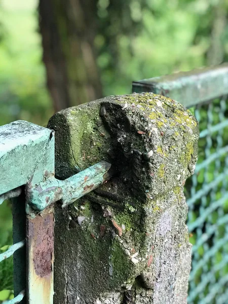 Baufälliger Zaun im Park — Stockfoto