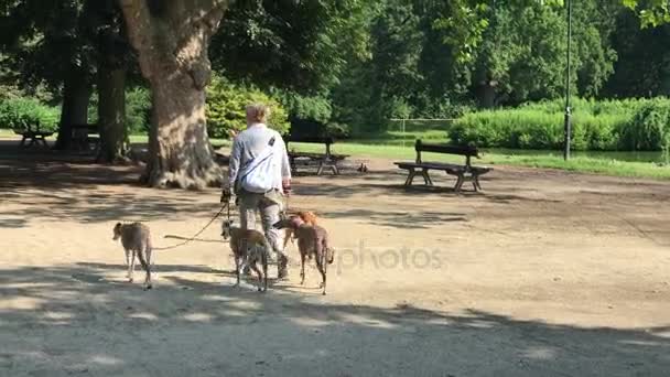 Rekreasjonstid i den offentlige parken i Polen i byen Wroclaw – stockvideo