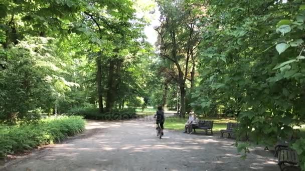 Recreation time in the public park in Poland in the city of Wroclaw — Stock Video