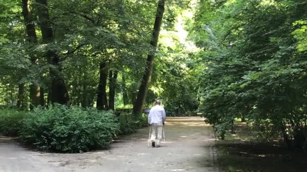 Tempo de recreação no parque público na Polônia, na cidade de Wroclaw — Vídeo de Stock