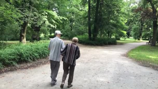 Tiempo libre en el parque público en Polonia en la ciudad de Wroclaw — Vídeo de stock