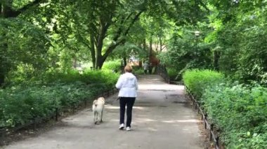 Polonya Wroclaw Şehir Parkı zamanında rekreasyon