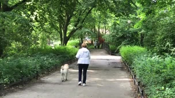 Temps de loisirs dans le parc public en Pologne dans la ville de Wroclaw — Video