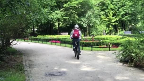 在波兰的弗罗茨瓦夫市公园向公众开放的娱乐时间 — 图库视频影像