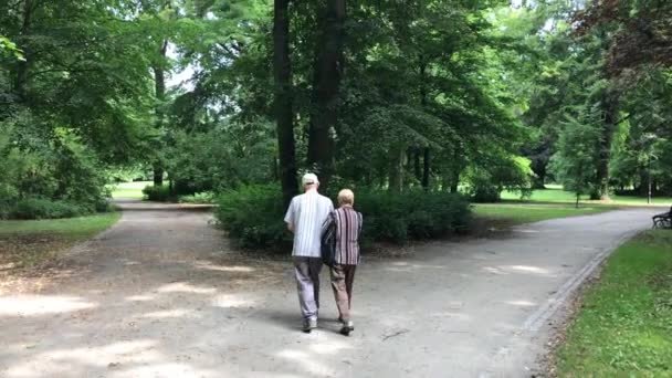 Час відпочинку в громадський парк в Польщі в місті Вроцлав — стокове відео