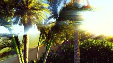 Zengin egzotik bitki örtüsünün tropikal orman