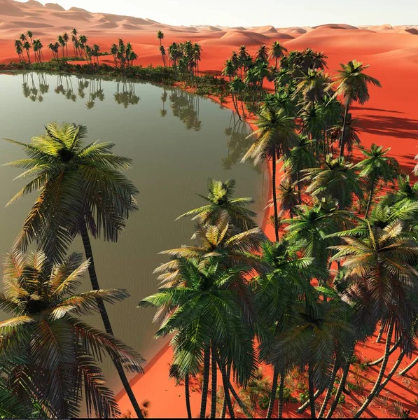 Pálmafák közelében oasis 3D-s illusztráció — Stock Fotó
