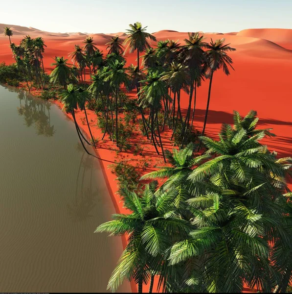 Palmieri lângă oază ilustrație 3d — Fotografie, imagine de stoc