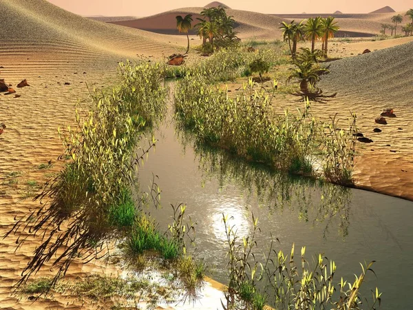 Hermoso fondo natural oasis africano 3d representación — Foto de Stock