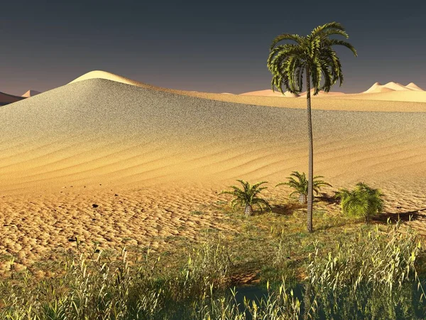 美丽的自然背景-非洲绿洲3D渲染 — 图库照片