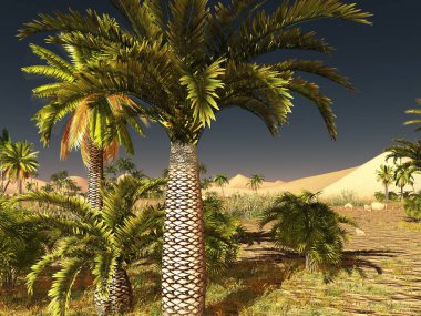 3d render Sahara Çölü'nde şaşırtıcı güneş batana