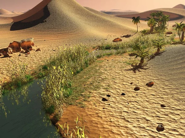 Amazing sunlight in the Sahara desert 3d rendering — Stock Photo, Image