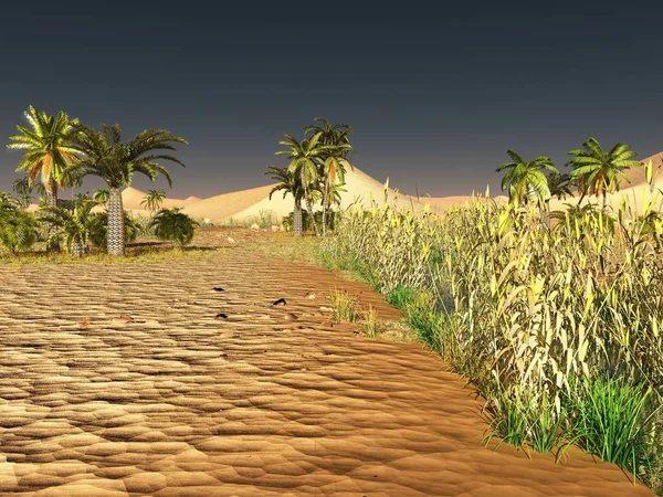 Incrível pôr do sol no deserto do Saara 3d renderização — Fotografia de Stock