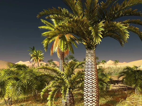 Nascer do sol de tirar o fôlego no deserto do Saara 3d renderização — Fotografia de Stock