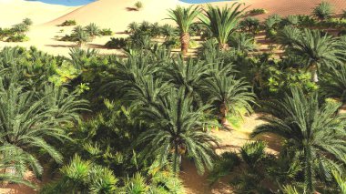 Büyük görünüm Sahara çöl gün batımından 3d render