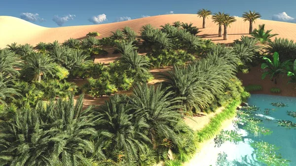 Harika görünümü'Sahara çöl gün batımından 3d render