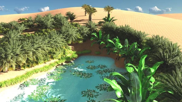 Harika görünümü'Sahara çöl, gün batımı 3d render