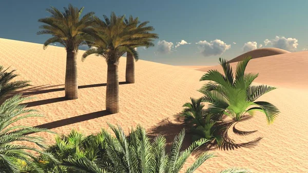 Maravilhoso ponto de vista sobre o deserto do Saara ao pôr do sol 3d renderização — Fotografia de Stock