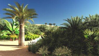 Harika görünümü'Sahara çöl gün batımından 3d render