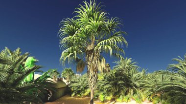 Sahara üzerinde harika manzara, gün batımından 3d render çöl