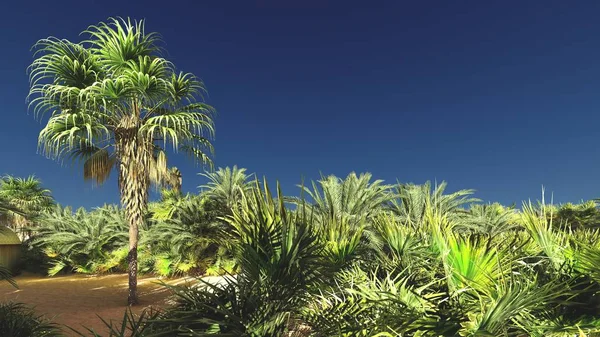 Sahra Çölü günbatımı 3d render, şaşırtıcı görür görmez