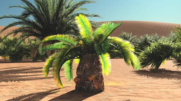 Büyük görünüm Sahara çöl gün batımından 3d render