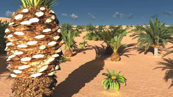 Harika görünümü'Sahara çöl gün batımından 3d render