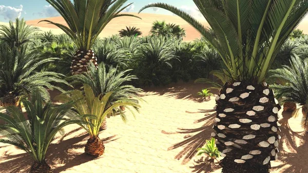 Vista maravilhosa no deserto do Saara ao pôr do sol 3d renderização — Fotografia de Stock