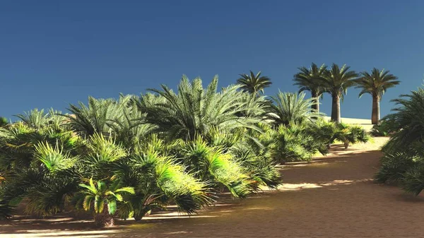 Gün batımı 3d render, Sahra Çölü üzerinde harika bakış açısı