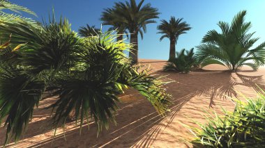 Lüks tropikal bitki örtüsü boş arazi üzerinde daha sonra gün, 3d render