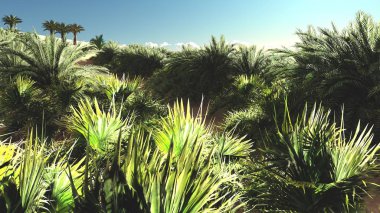 Yemyeşil muhteşem bitkiler üzerinde vahşi akşamları, 3d render