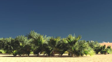 Zengin tropik yeşillikler içinde boş arazi üzerinde akşam, 3d render