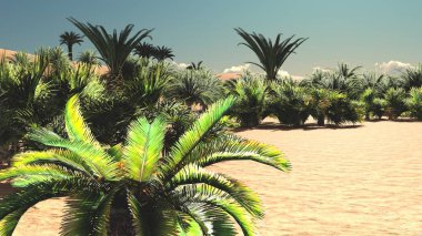 Muhteşem bitki yaşam çölde daha sonra içinde belgili tanımlık gün, 3d render savurgan