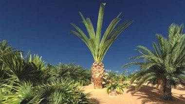 Lüks tropikal bitki örtüsü boş arazi üzerinde daha sonra gün, 3d render