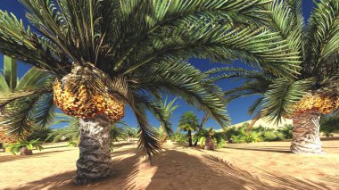 Yemyeşil tropik bitkiler üzerinde çorak akşamları, 3d render