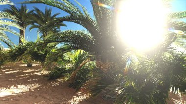 Gün, 3d render daha sonra çölde zengin egzotik bitki yaşam