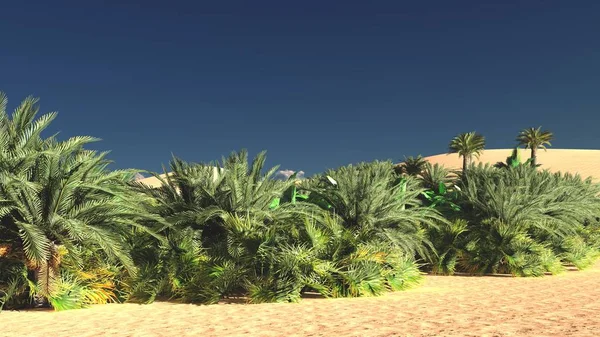 Gün, 3d render daha sonra çölde zengin egzotik bitki yaşam