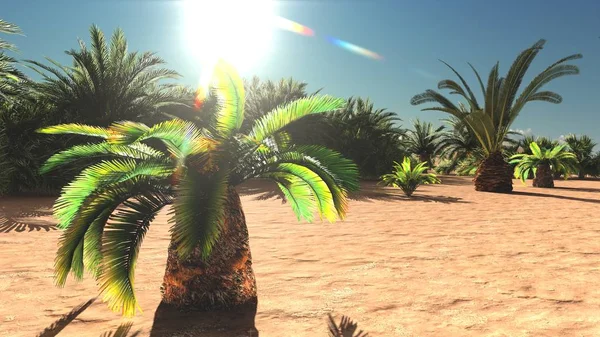 Plantas espetaculares no deserto mais tarde no dia, 3d renderização — Fotografia de Stock