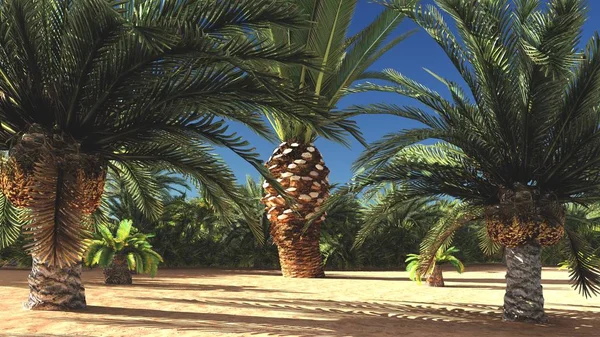 Akşamları, 3d render vahşi üzerinde bol tropikal bitki