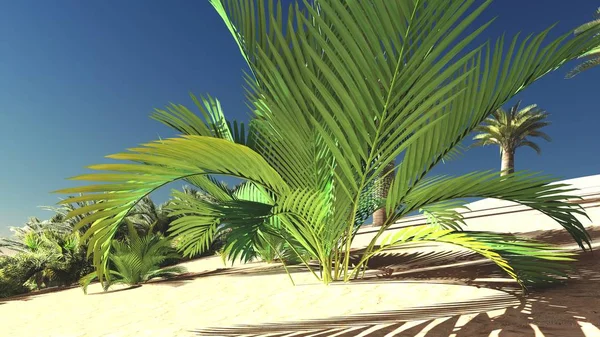 Reichhaltiges tropisches Grün auf Brachland am Abend, 3D-Darstellung — Stockfoto
