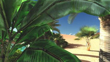 Lüks tropikal bitki örtüsü boş arazi üzerinde daha sonra gün, 3d render