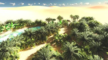 Zengin tropik yeşillikler içinde boş arazi üzerinde akşam, 3d render