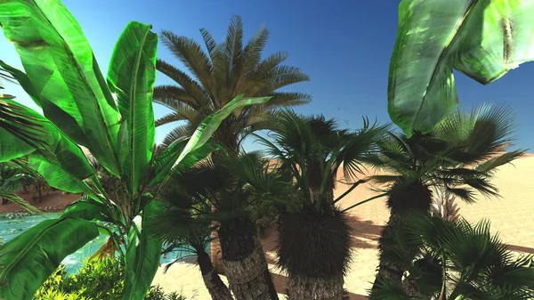 Yemyeşil tropik bitkiler üzerinde çorak akşamları, 3d render