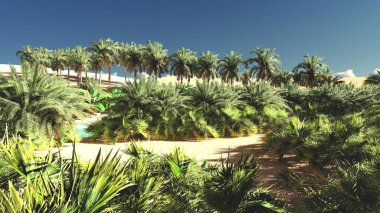 Zengin tropik yeşillikler içinde boş arazi üzerinde akşam, 3d render